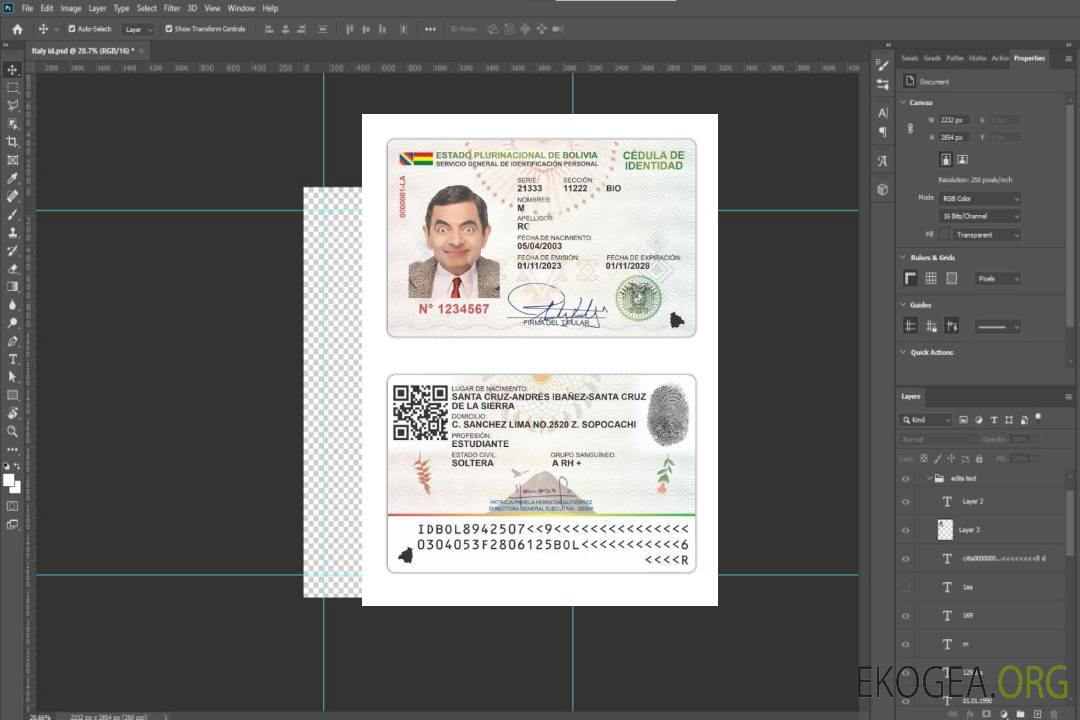 Carte d'identité bolivienne 2023-présent template